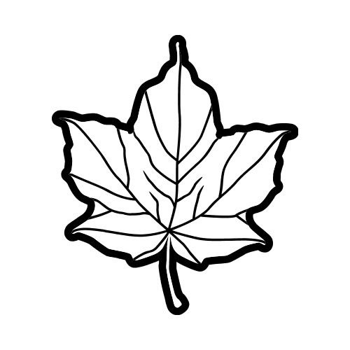 500x500 Luxury Maple Leaf Clipart