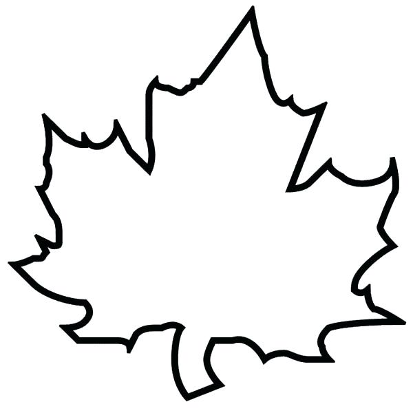 600x600 maple leaf clipart line art fall clip drawings sjmedia