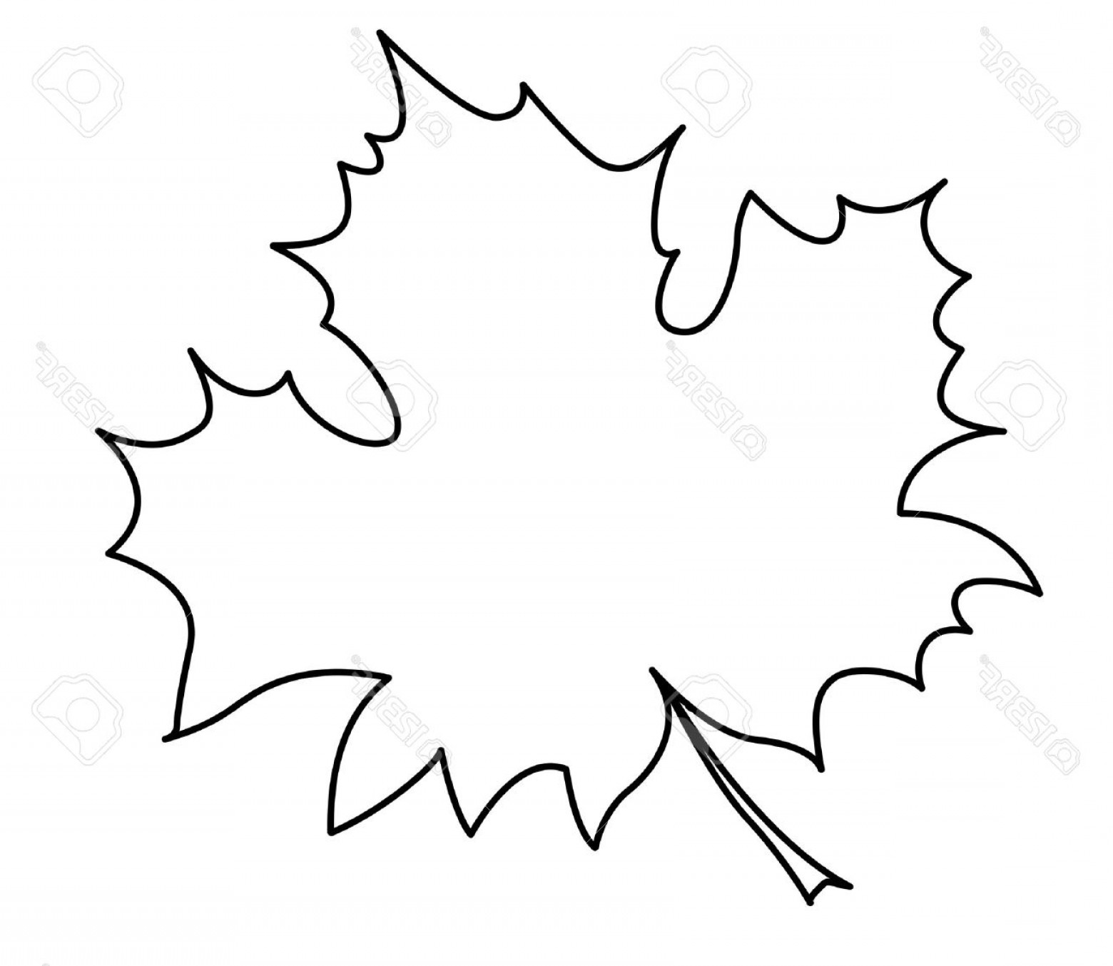 1560x1354 Maple Leaf Outline Vector Soidergi