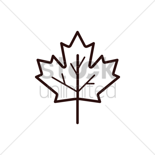 600x600 Maple Leaf Vector Image