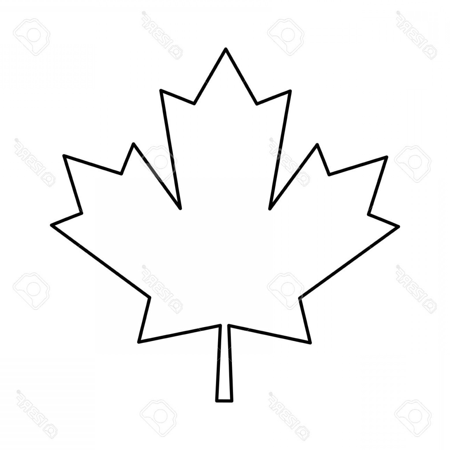 Maple Leaf Line Drawing | Free download on ClipArtMag