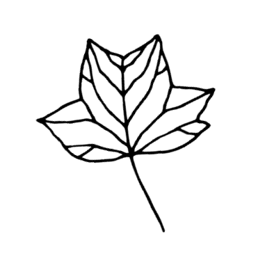 381x381 botanical quartet line art mason jar tumblers