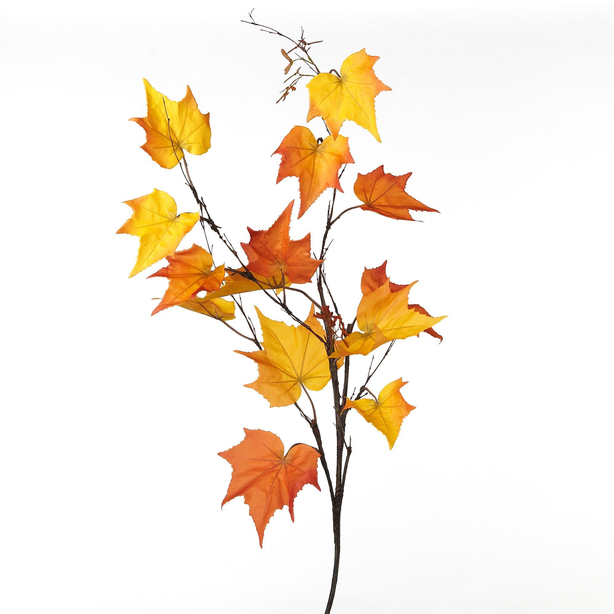 2000x2000 Fleur Maple Leaf Branch Spray