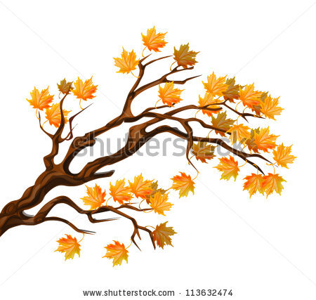 450x427 Maple Branch Clipart
