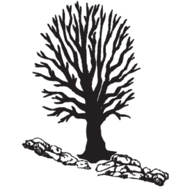 270x270 mapletree farm maple syrup products