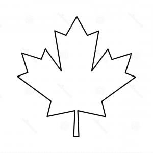 300x300 Stock Illustration Maple Leaf Outline Drawing Soidergi