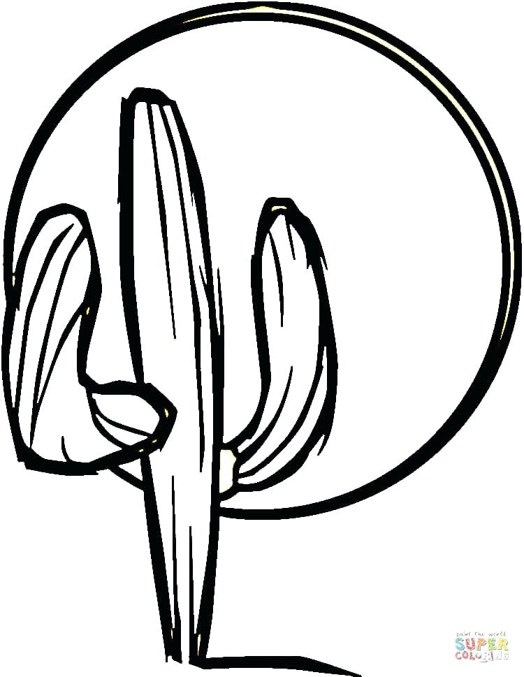 750x969 Maracas Coloring Pages