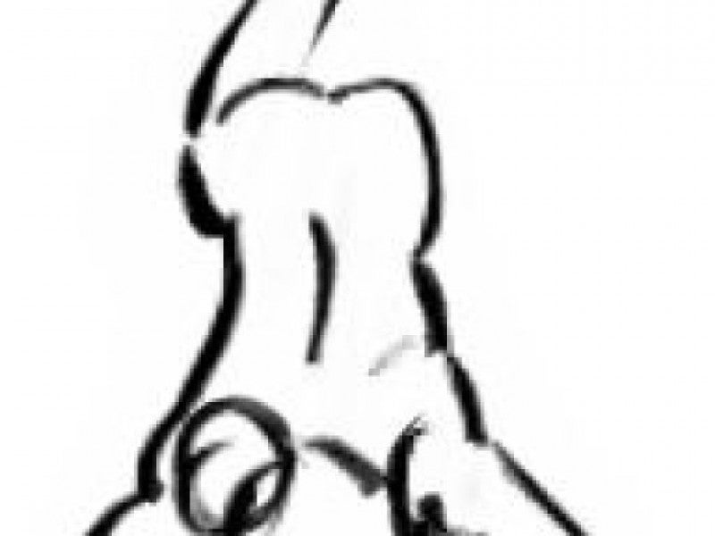 800x600 C'est La Vie!