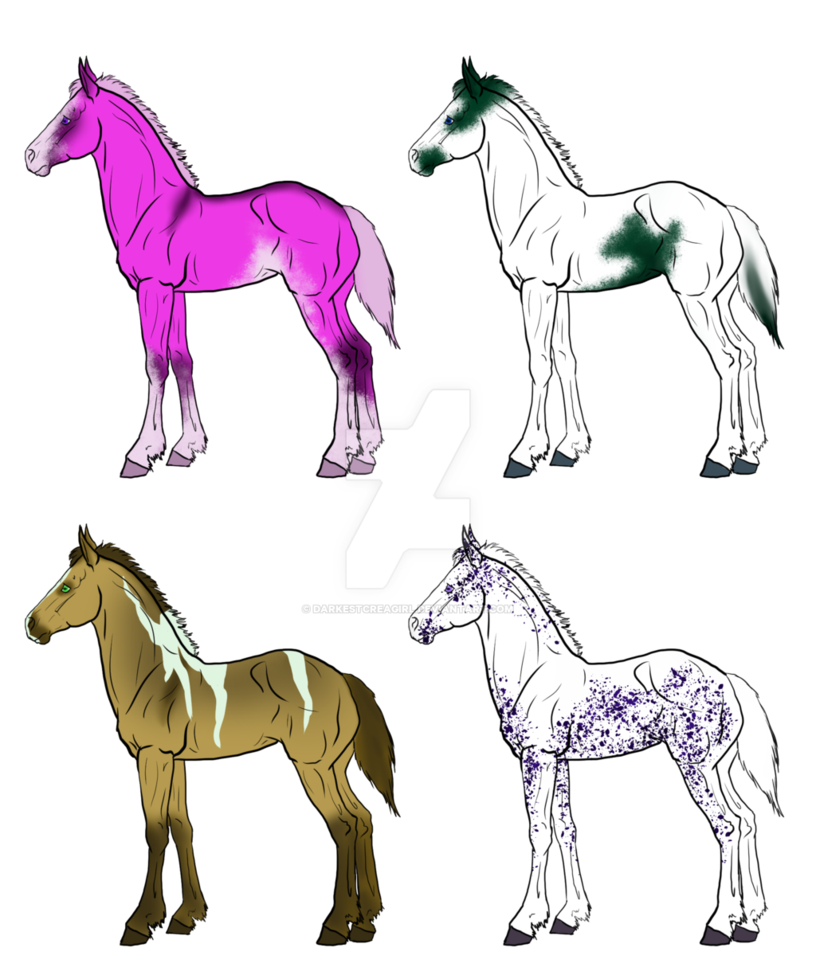 816x979 Colorful Fantasy Foal Designs
