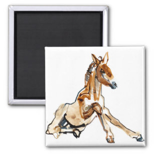 307x307 Foal Refrigerator Magnets Zazzle