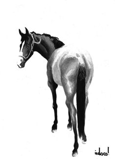 235x324 best horses in watercolor images in drawings of horses