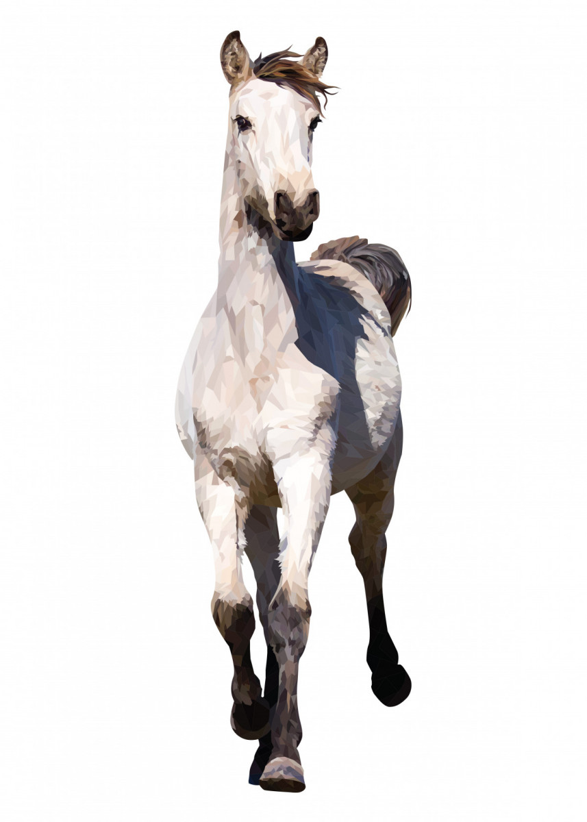 857x1200 Horse Posters
