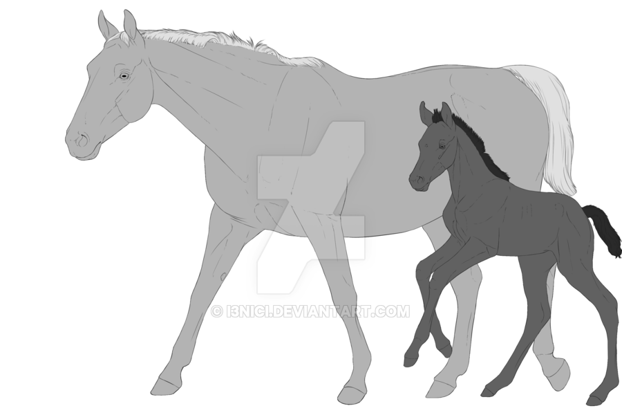 900x600 Mare And Foal Adopts Base