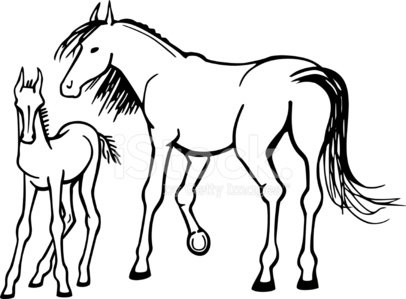 Collection of Mare clipart | Free download best Mare clipart on ...