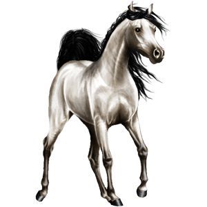 300x300 Tonerre Howrse Kone Horse In Horses, Horse Drawings