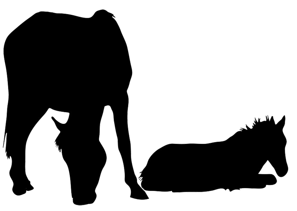 945x673 Mare With Foal Silhouette Images Horse Silhouette, Horses