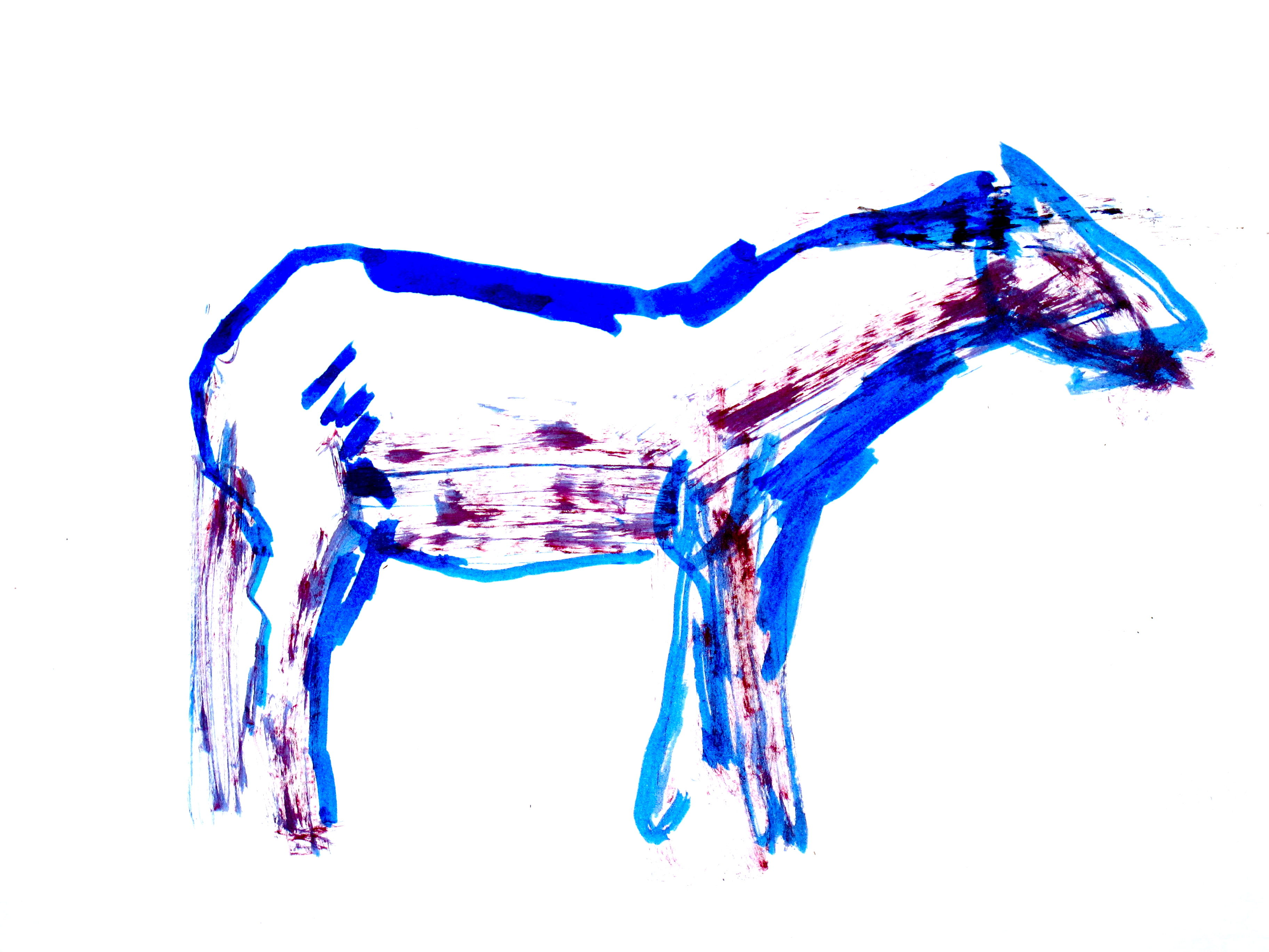 3648x2736 a picture of a drawing of a horse still alive