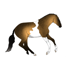 300x300 Advertisements On Zlesdin