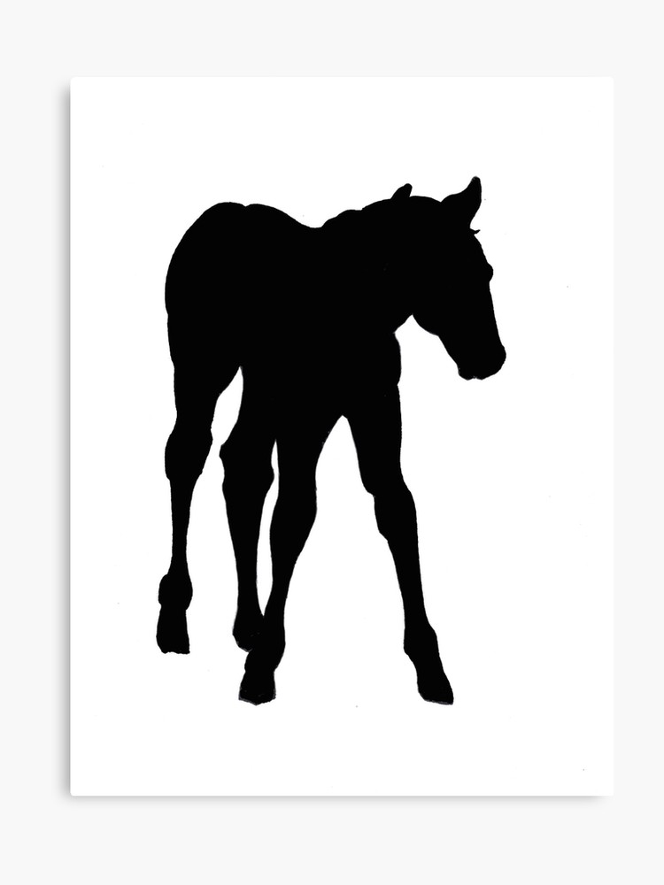 750x1000 Baby Horse, Silhouette, Horse, Foal, Drawing Canvas Print