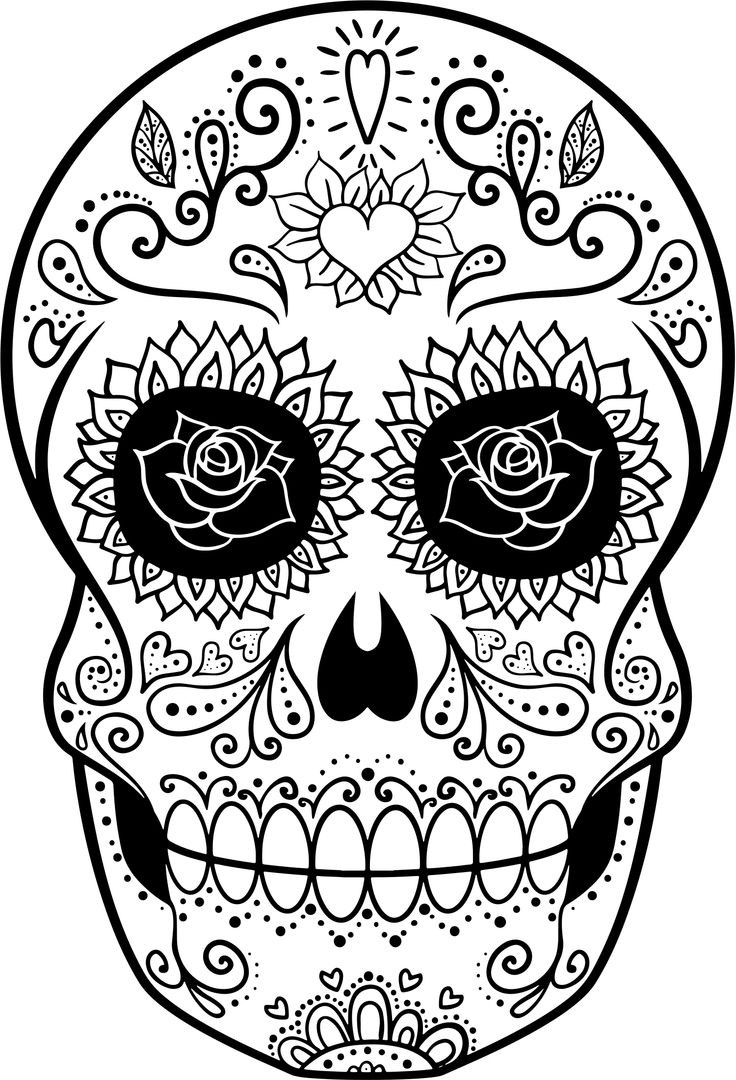 736x1080 Skeleton Mariachi Drawing