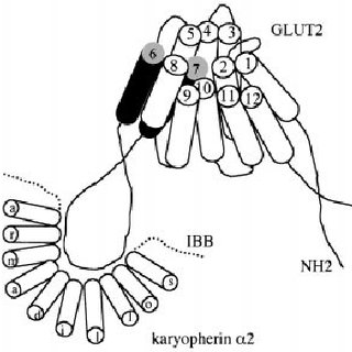 320x320 M J Alonso's Research Works Pierre And Marie Curie