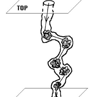 320x320 Y Chigirinskaya's Research Works Pierre And Marie Curie
