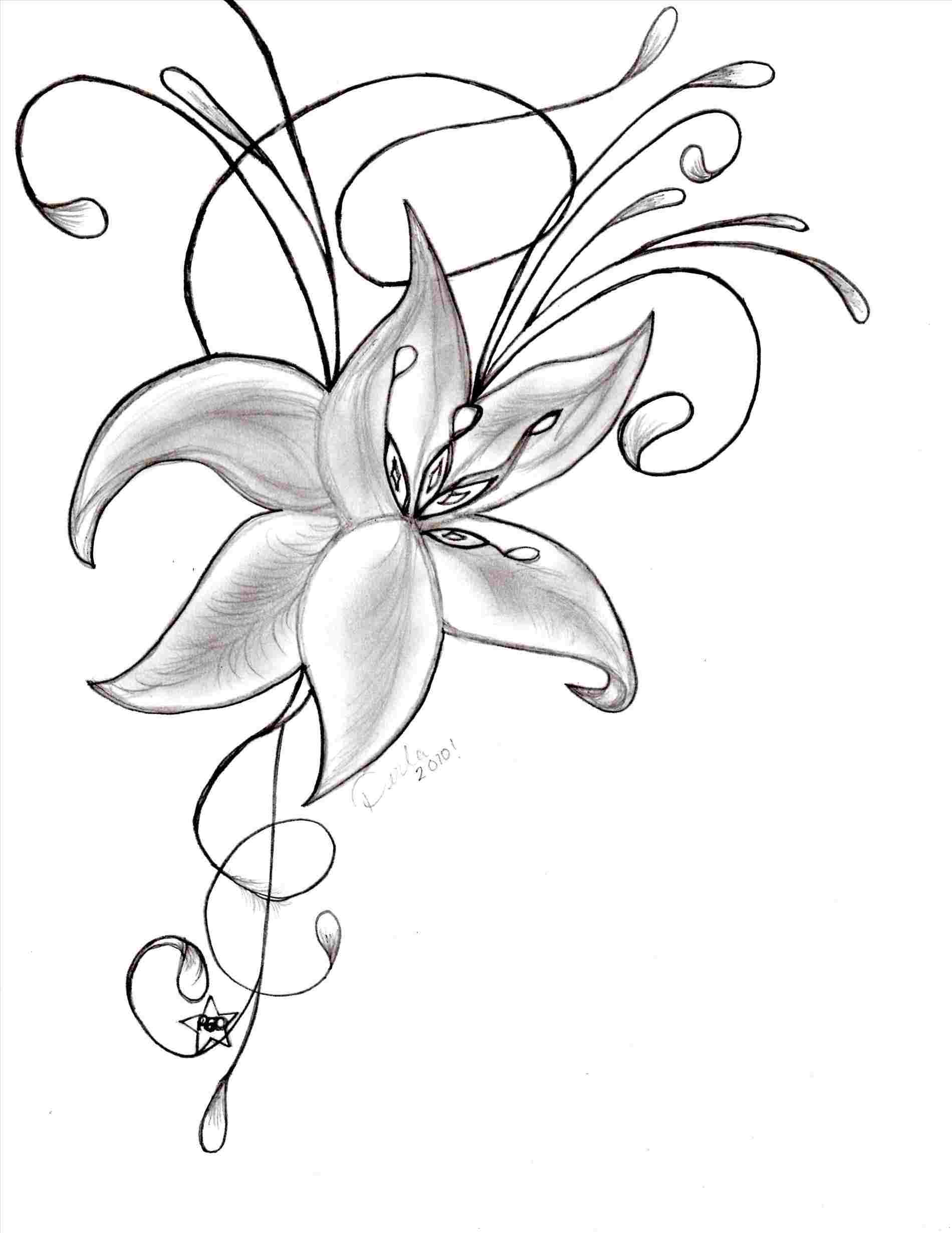 1900x2458 Simple Easy Flower Outline Drawing