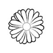 180x180 Vector Illustration Of Marigold Flower Canvas Print Canvas Art