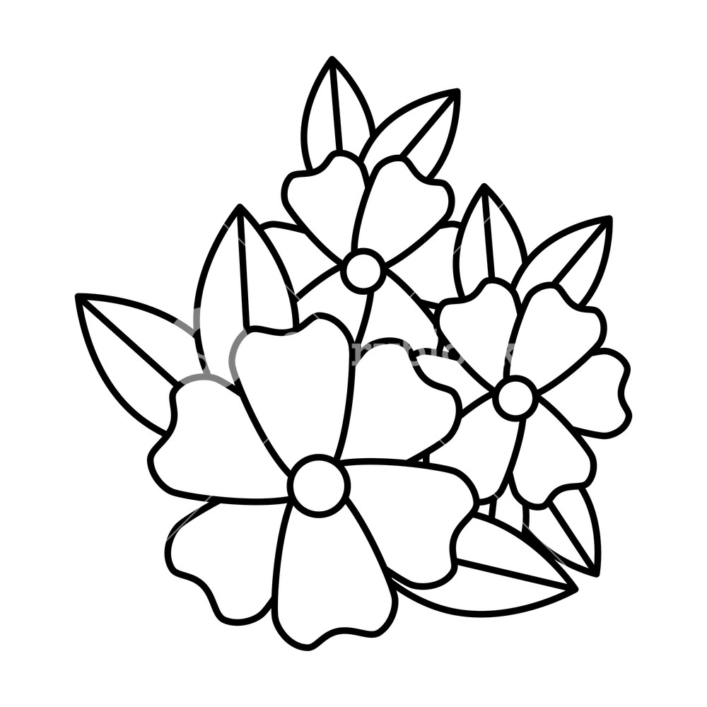 1000x1000 Marigold Flower Decorative Icon Vector Illustration Design Royalty