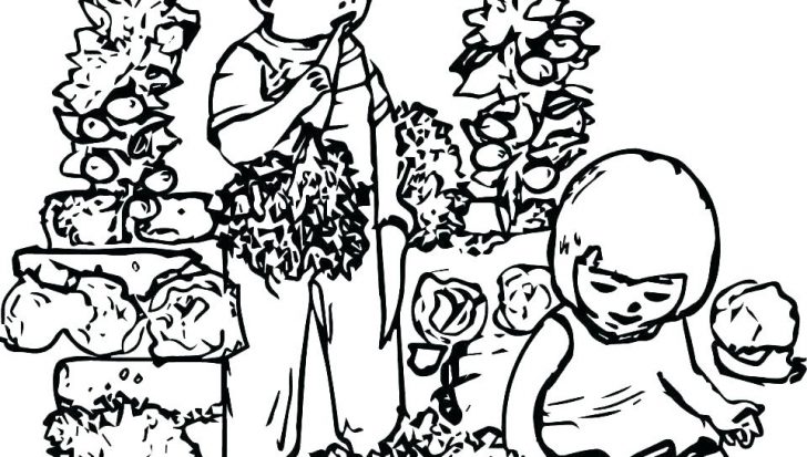 728x413 Marigold Flower Colouring Pages Garden Coloring Printable Daisy