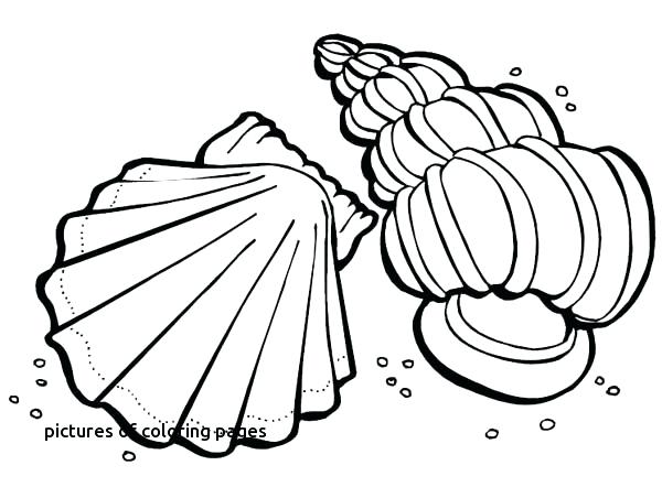 600x442 Marigold Flower Colouring Pages Wreath Coloring Printable Alluring
