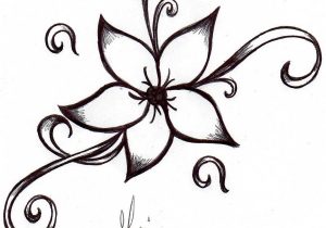 300x210 Sketches Of Lata Flower Hand Drawn Flowers