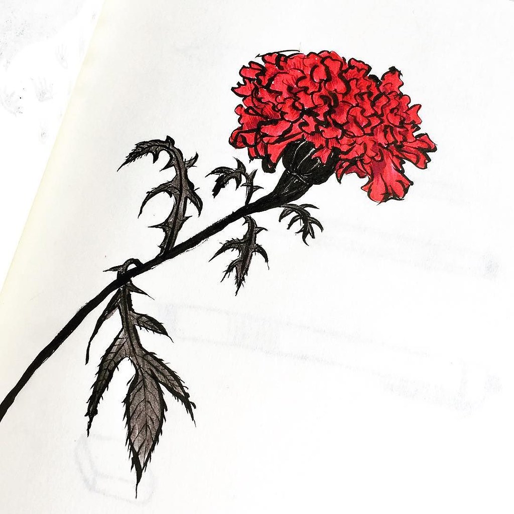 1024x1024 We Went To A Nice Place With Some Friends There Were