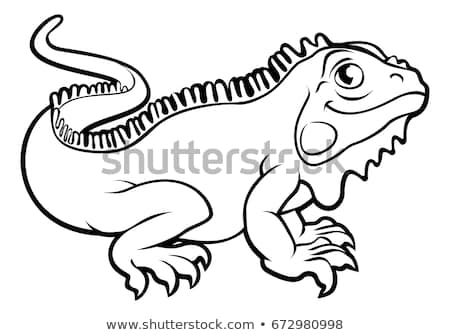 450x335 Huge Collection Of 'iguana Drawing Outline' Download More Than