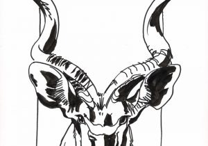 300x210 Black And White Sketches Art