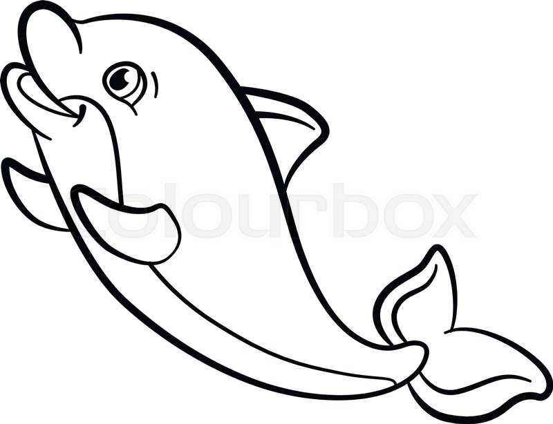 800x614 Coloring Pages Marine Wild Animals Stock Vector Colourbox