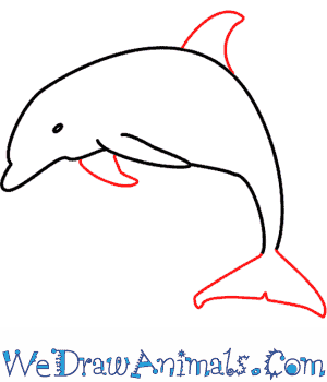 300x350 How To Draw A Dolphin