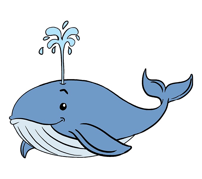 678x600 How To Draw A Whale In A Few Easy Steps Easy Drawing Guides