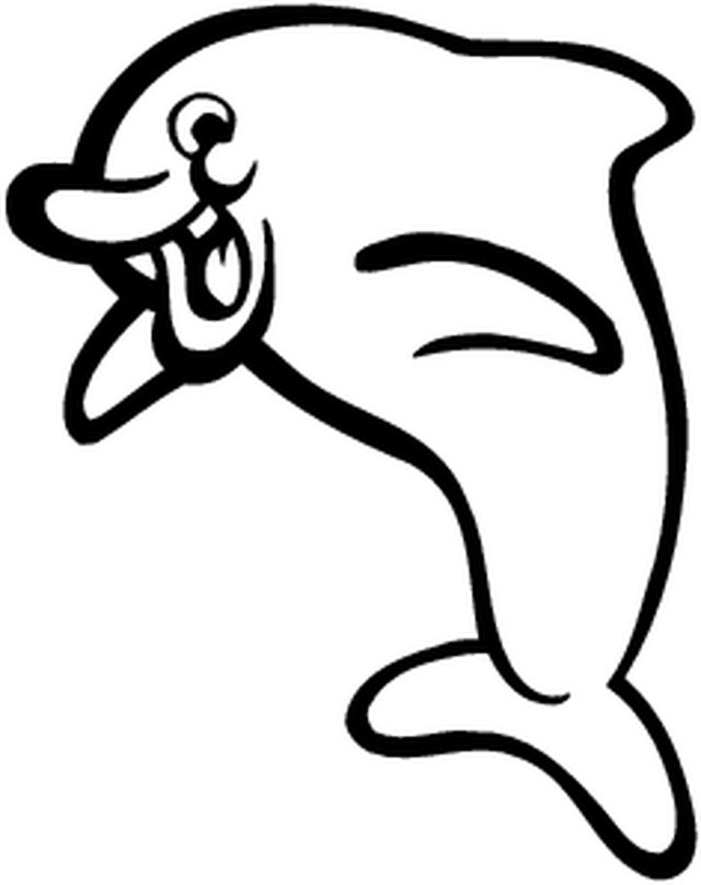 640x808 Marine Animals