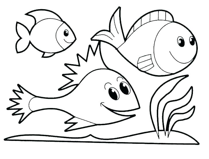 728x555 ocean pictures to color coloring pages sea animals ocean