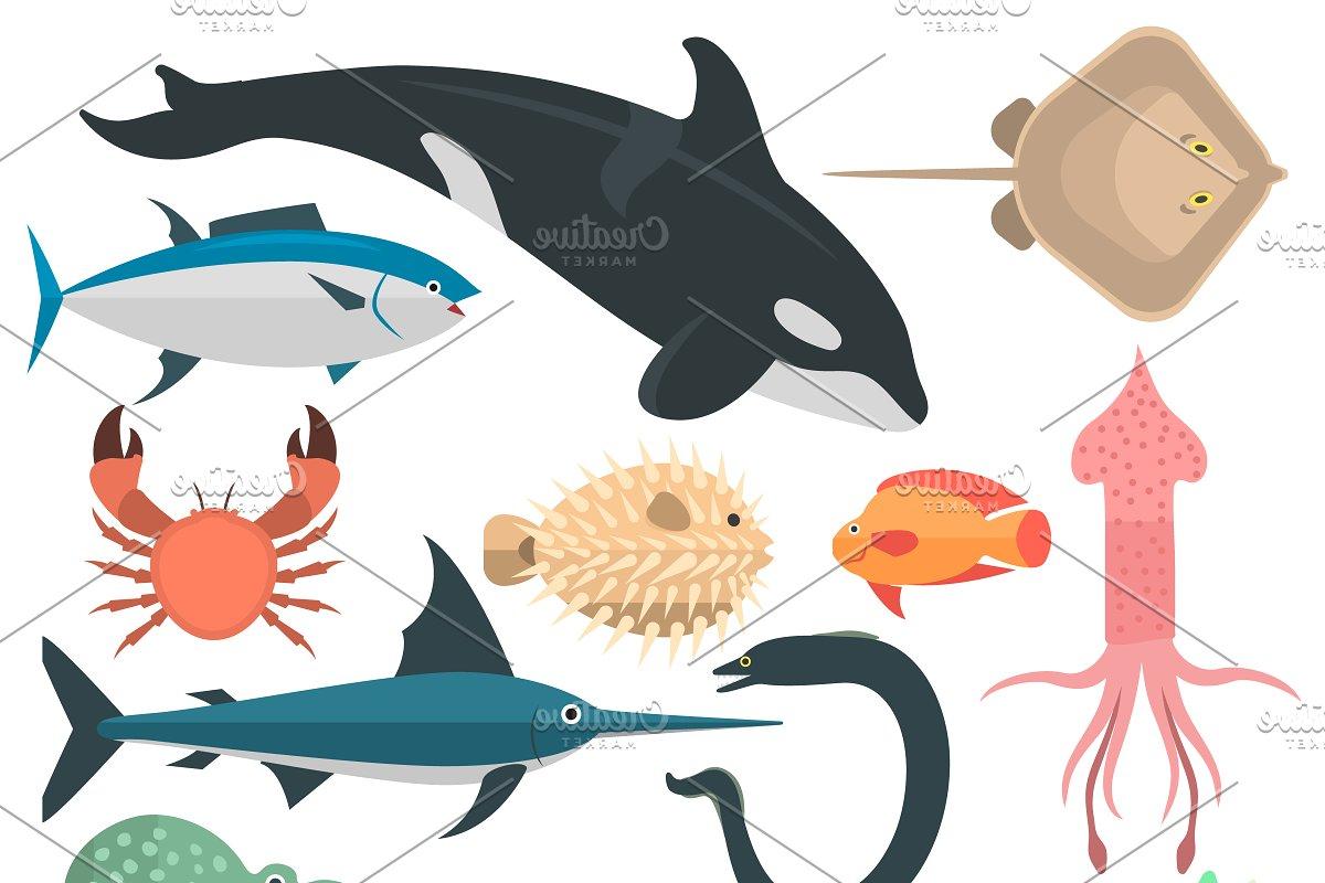 1200x800 Best Hd All Ocean Animals Vector Drawing Free Vector Art, Images