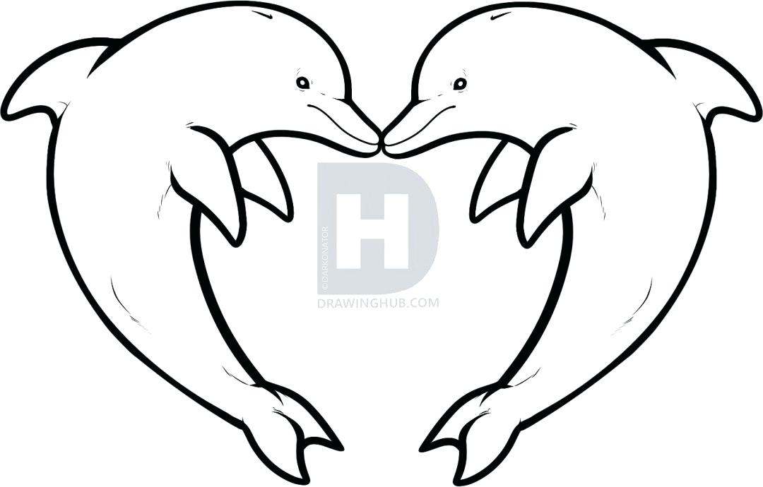 1080x690 dolphins drawing cute dolphins drawings