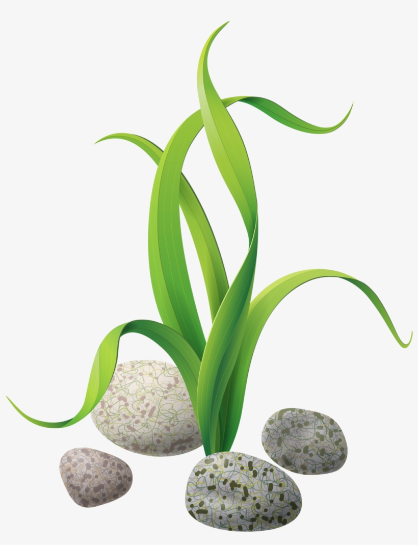 820x1069 Nautical Craft, Fish Drawings, Tole Painting, Marine