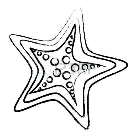 450x450 Sketch Of Starfish Sketchbook Drawing Shell With Starfish