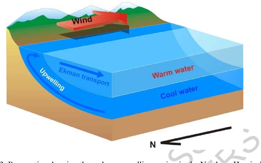 1018x638 Figure From Ocean Currents And Their Impact On Marine Life