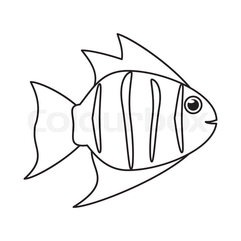 800x800 Fish Animal Cartoon Icon Sea Life Stock Vector Colourbox