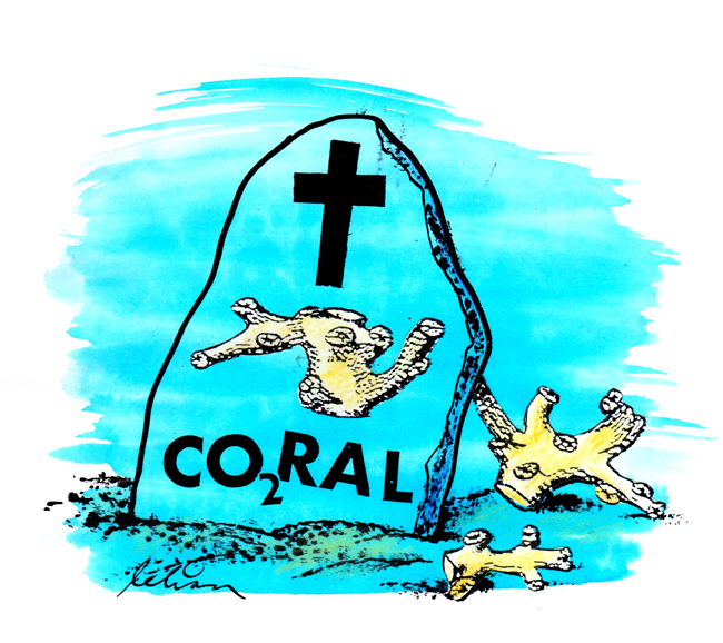 650x578 Ocean Acidification Threat To Sea Life Airclim