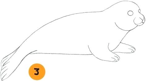 472x262 Easy To Draw Seal Drawn Seal Easy Draw X Free Clip Art Stock