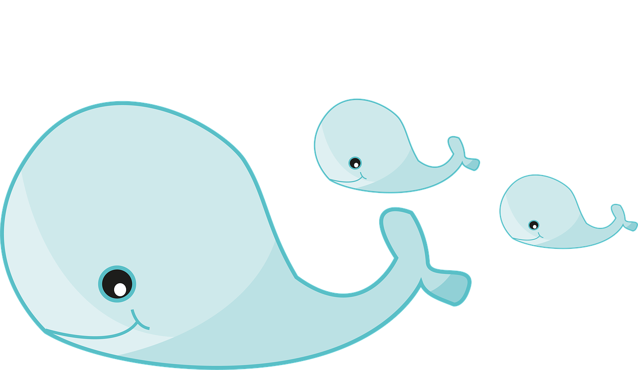 1280x742 Fish, Comic, Animal, Wal, Whale