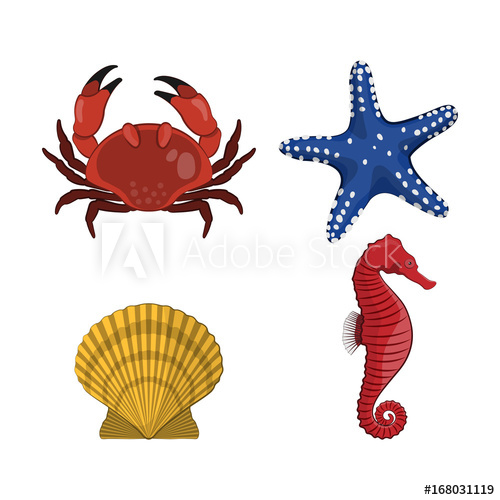 500x500 Sea Animals Drawing Of Crab, Star, Seahorse And Shell On White